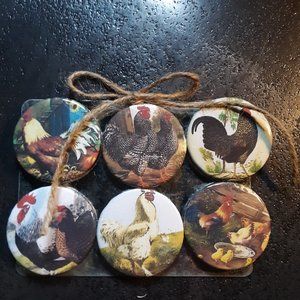 Chicken Refrigerator Magnets set of 6